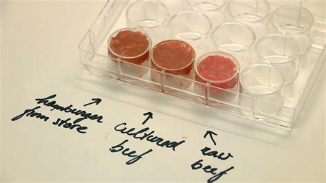 laboratory analysis meat|lab meat vs real.